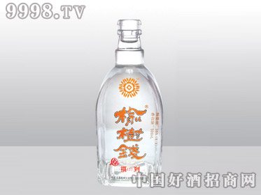 ߰ϲƿǮHR-163-500ml